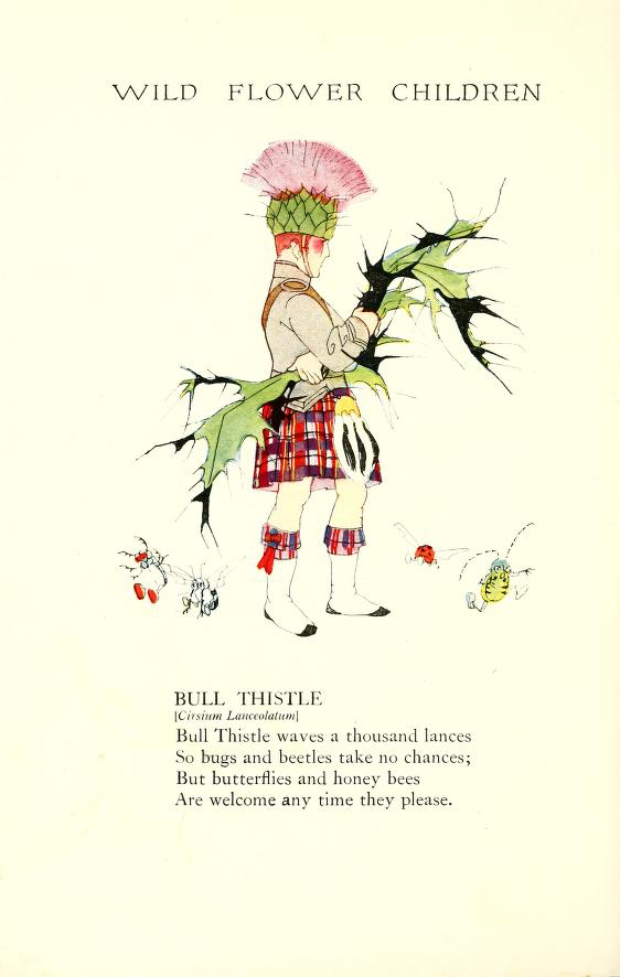 Bull Thistle Wild Flower Children by Elizabeth Gordon with illustration by Janet Laura Scott.