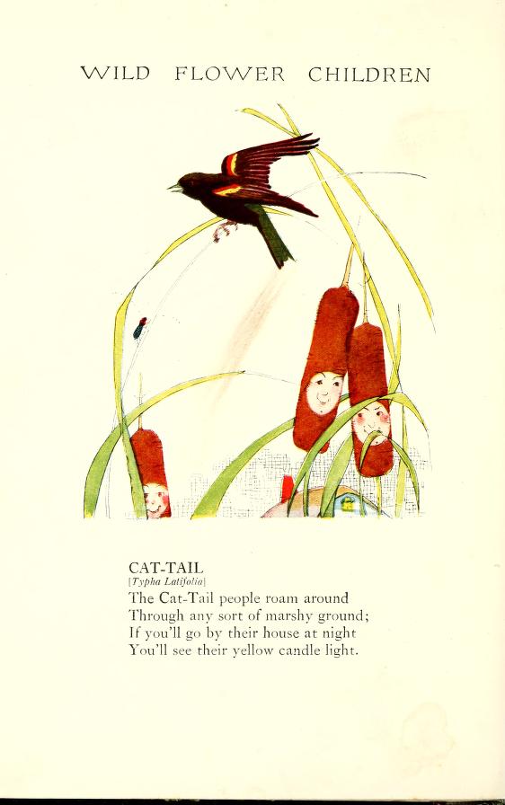 Cattail Flower Children by Elizabeth Gordon with illustration by Janet Laura Scott.