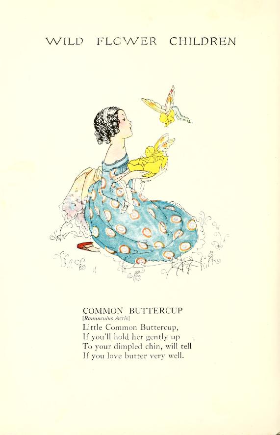 Buttercup by Elizabeth Gordon with illustration by Janet Laura Scott.