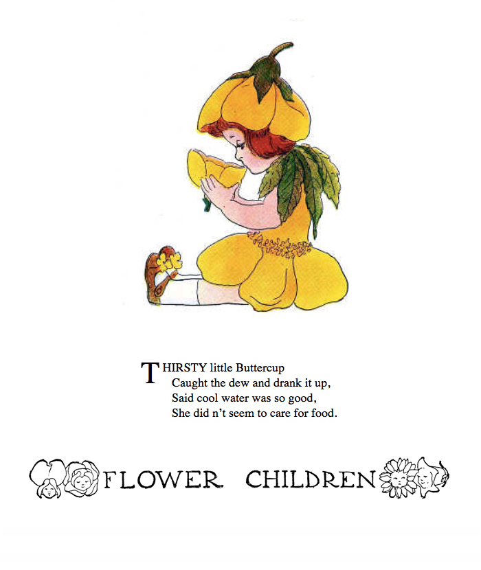 Buttercup by Elizabeth Gordon with illustration by  M. T. (Penny) Ross.