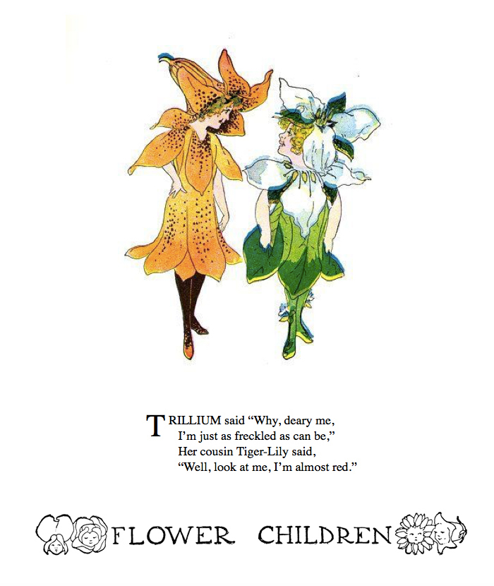 Trillium by Elizabeth Gordon with illustration by  M. T. (Penny) Ross.