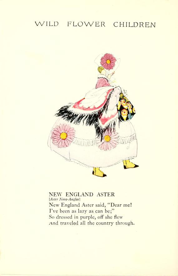 1918 New England Aster Wild Flower Children by Elizabeth Gordon with illustration by Janet Laura Scott.