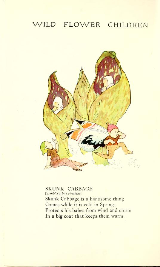 1918 Skunk Cabbage Wild Flower Children by Elizabeth Gordon with illustration by Janet Laura Scott.