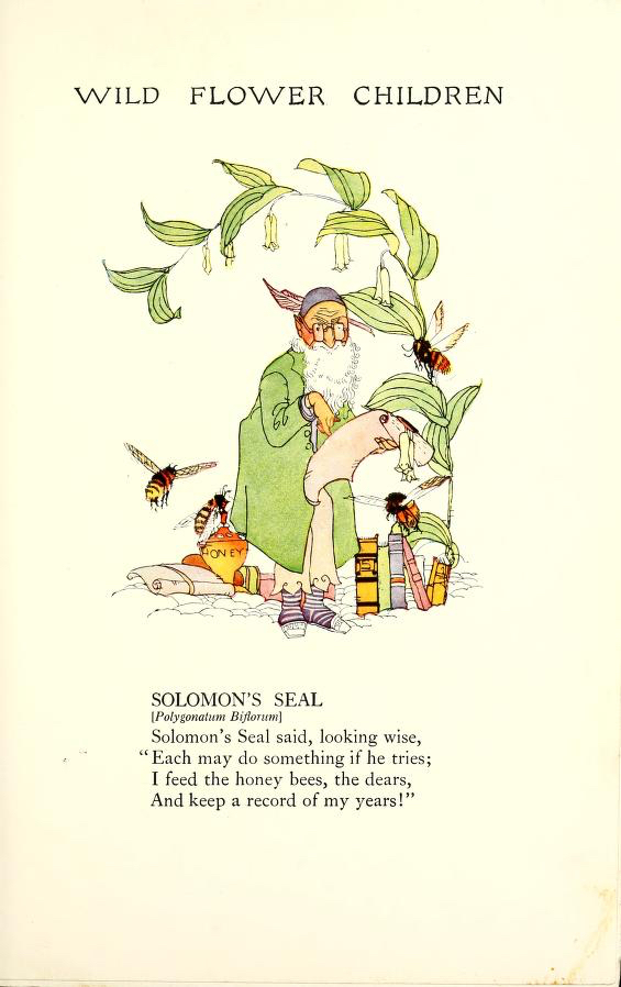 Solomon's Seal Wild Flower Children by Elizabeth Gordon with illustration by Janet Laura Scott.
