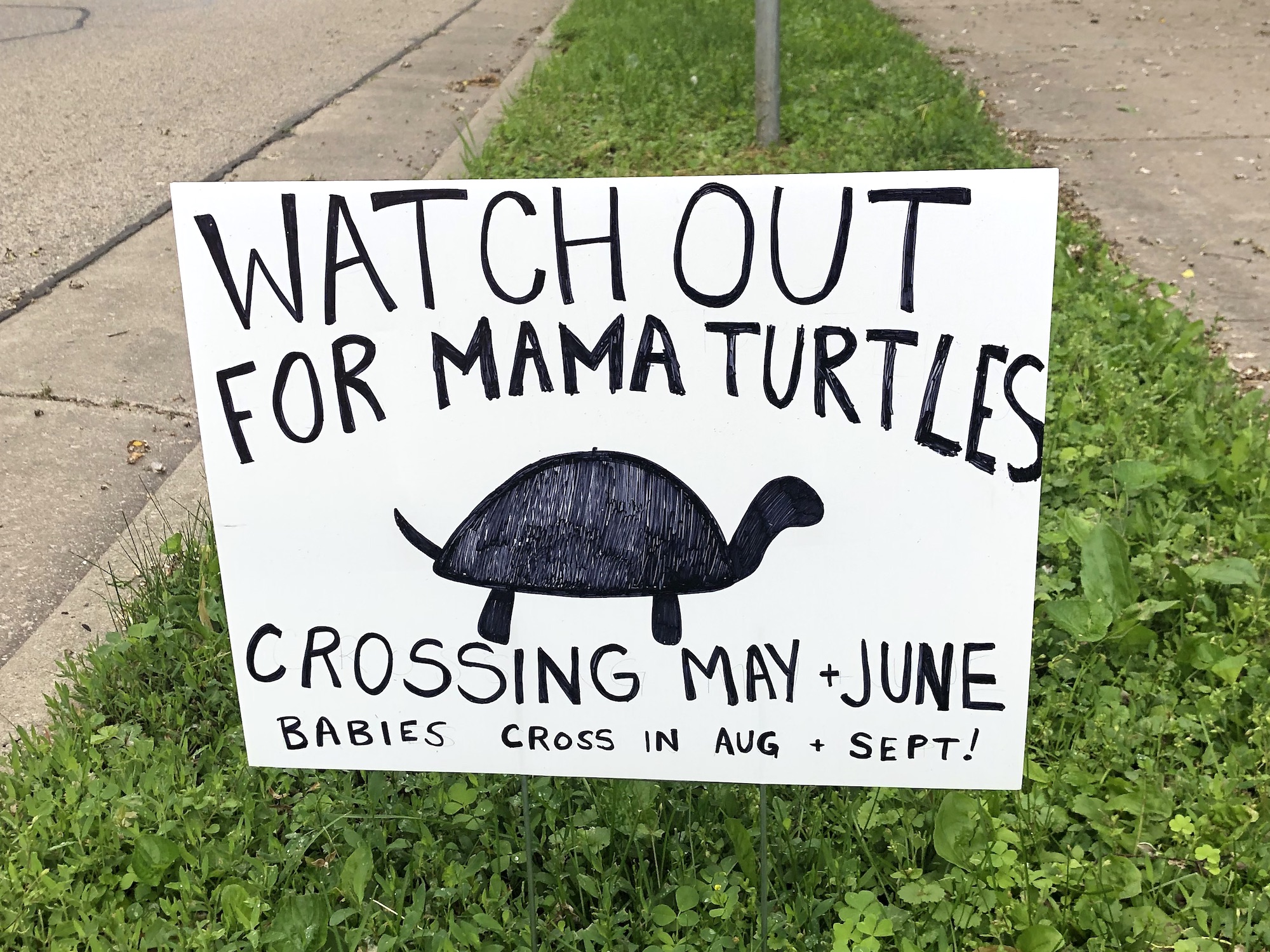 Turtle Crossing Sign near Duck Pond on June 12, 2022.