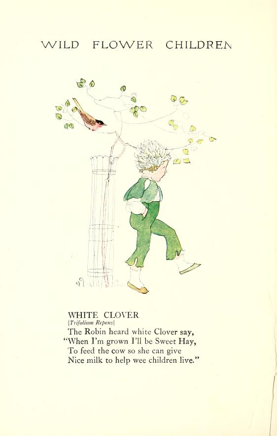 White Clover Wild Flower Children by Elizabeth Gordon with illustration by Janet Laura Scott.