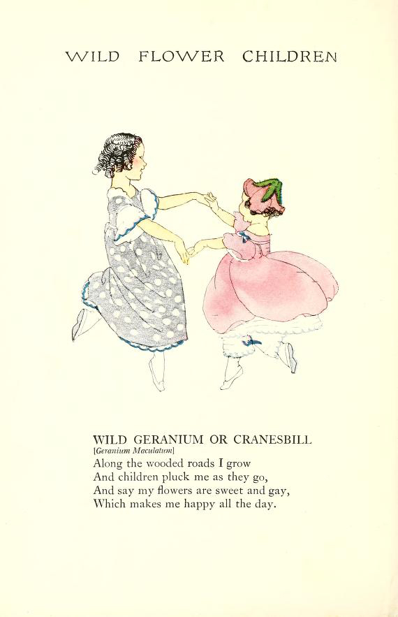 Wild Geranium Wild Flower Children by Elizabeth Gordon with illustration by Janet Laura Scott.
