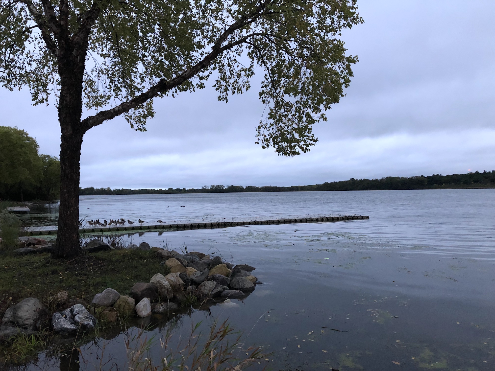 Lake Wingra on October 2, 2019.