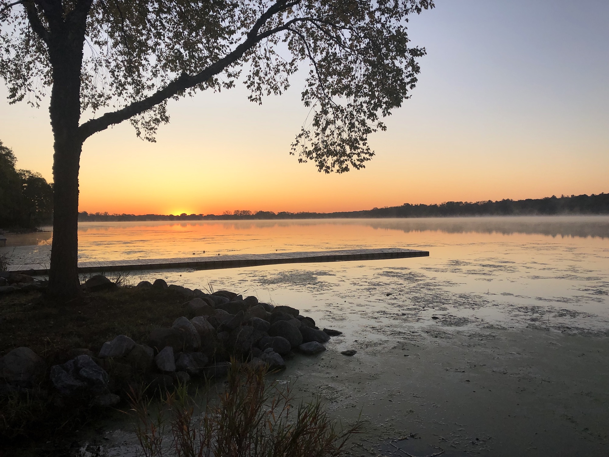 Lake Wingra on October 8, 2019.