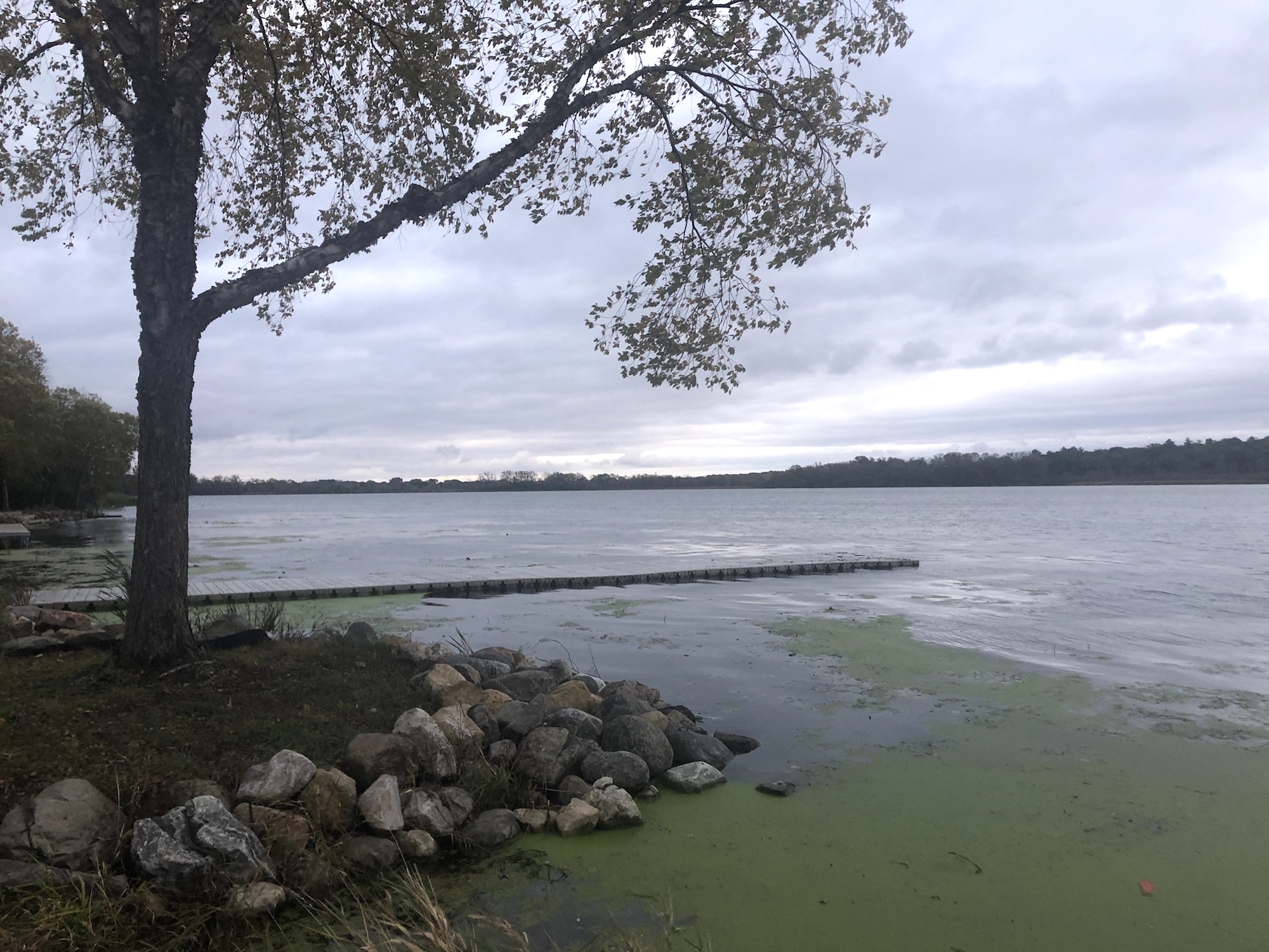 Lake Wingra on October 13, 2019.
