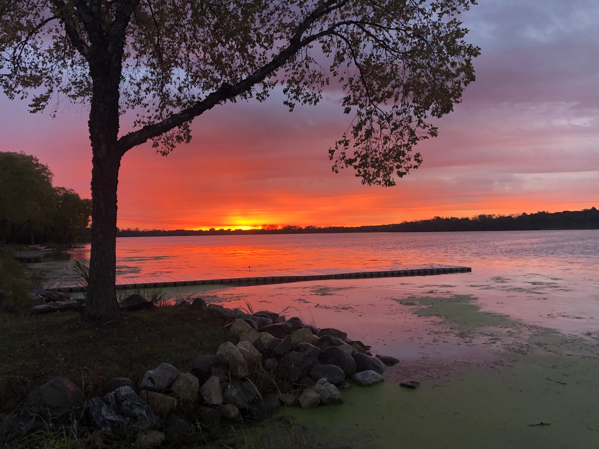 Lake Wingra on October 15, 2019.