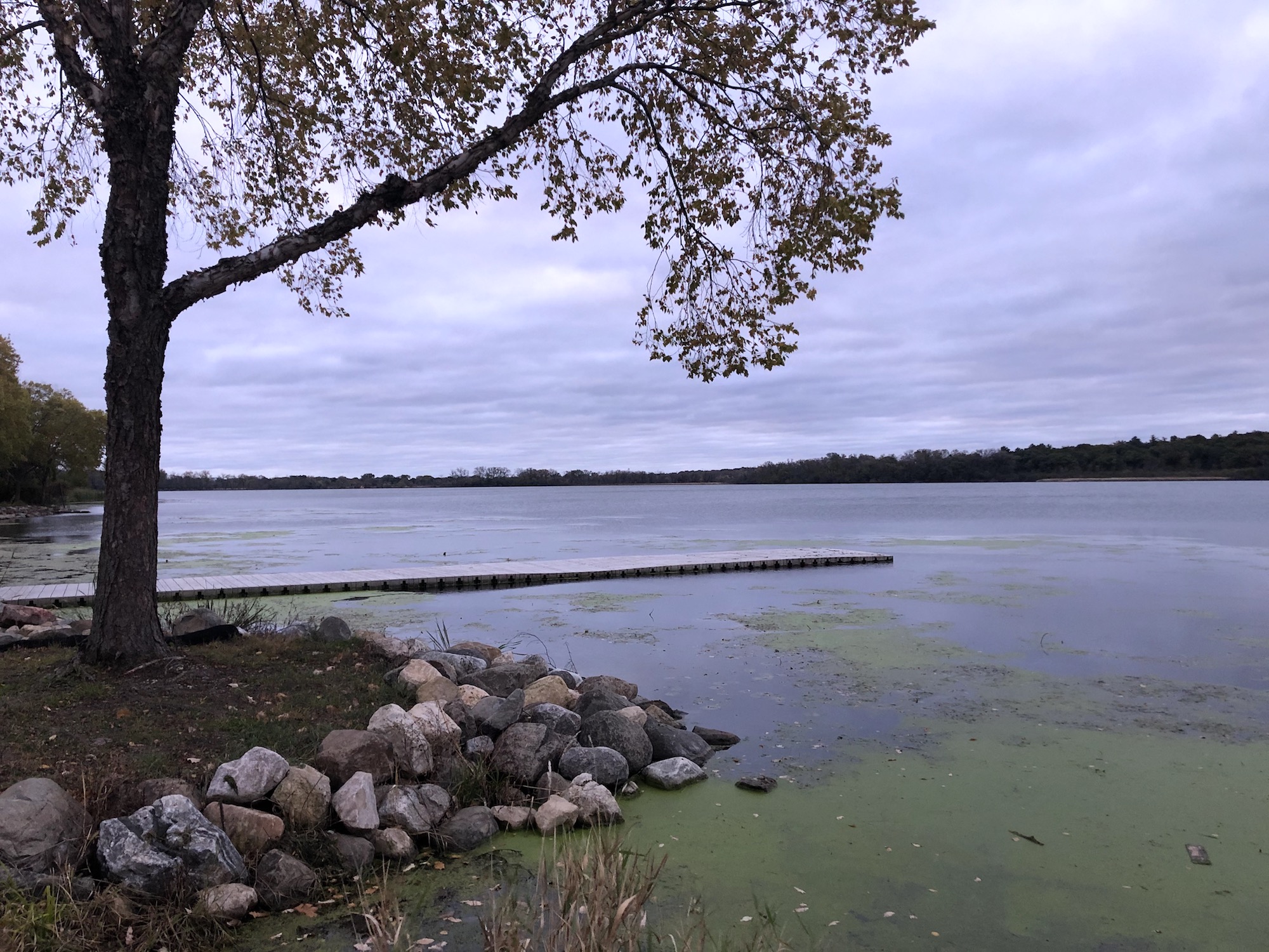 Lake Wingra on October 16, 2019.