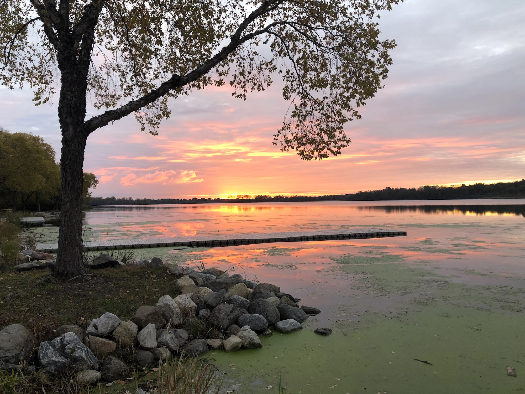 Lake Wingra on October 17, 2019.