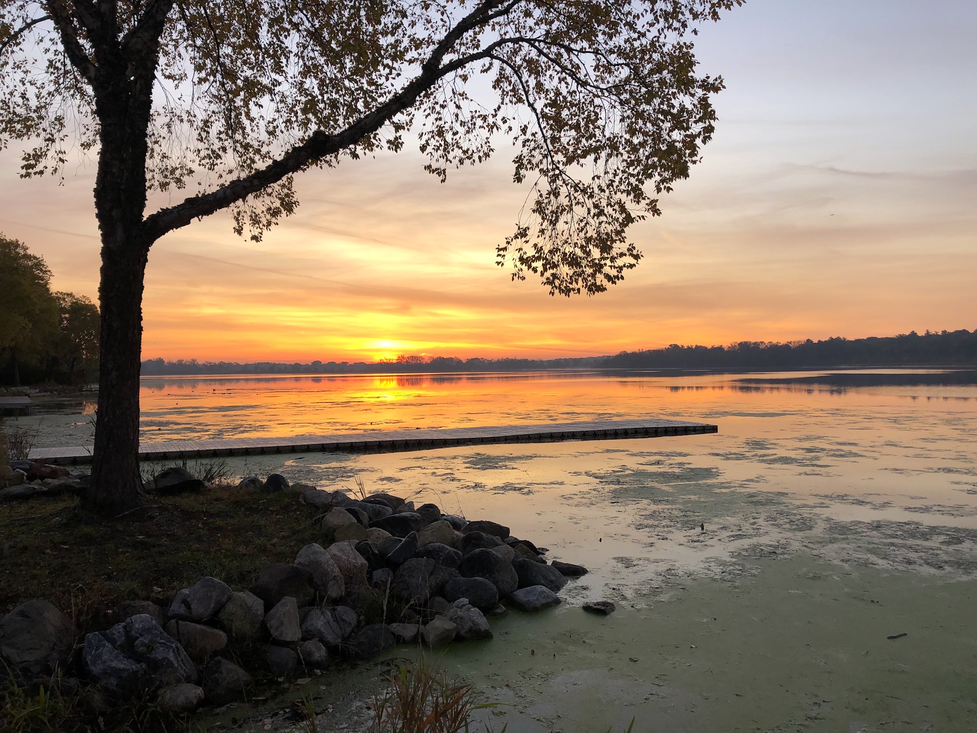 Lake Wingra on October 18, 2019.