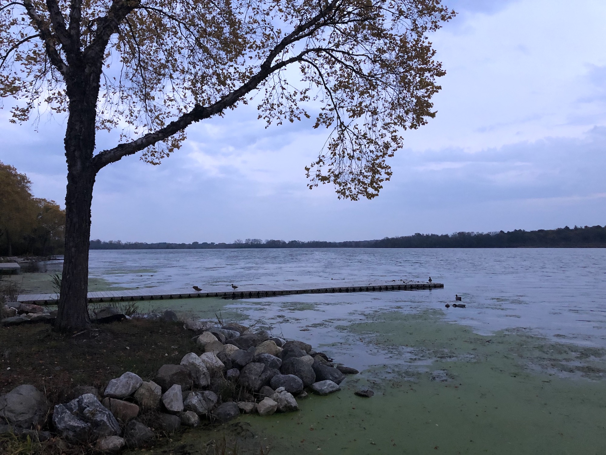 Lake Wingra on October 21, 2019.