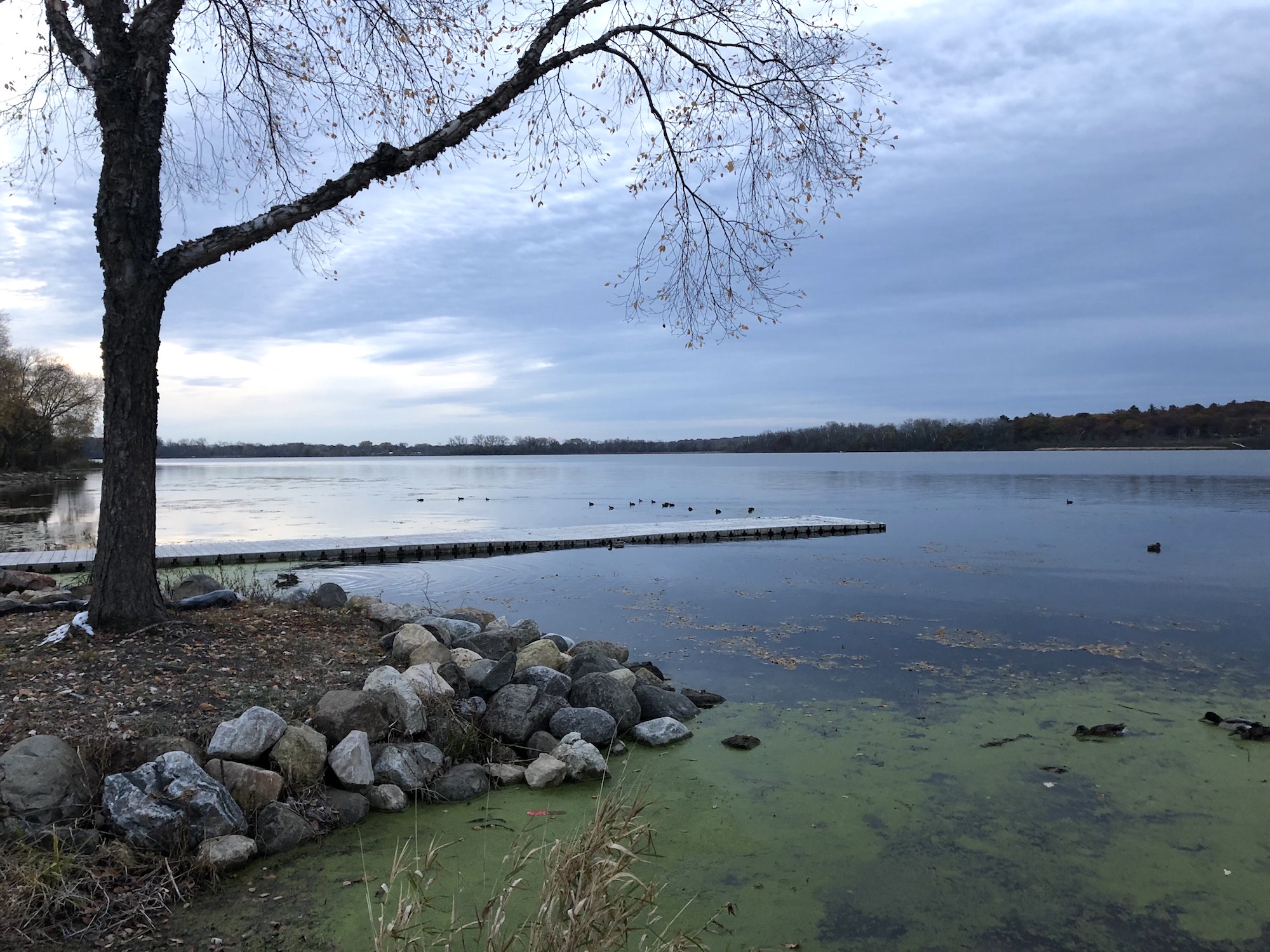 Lake Wingra on October 30, 2019.