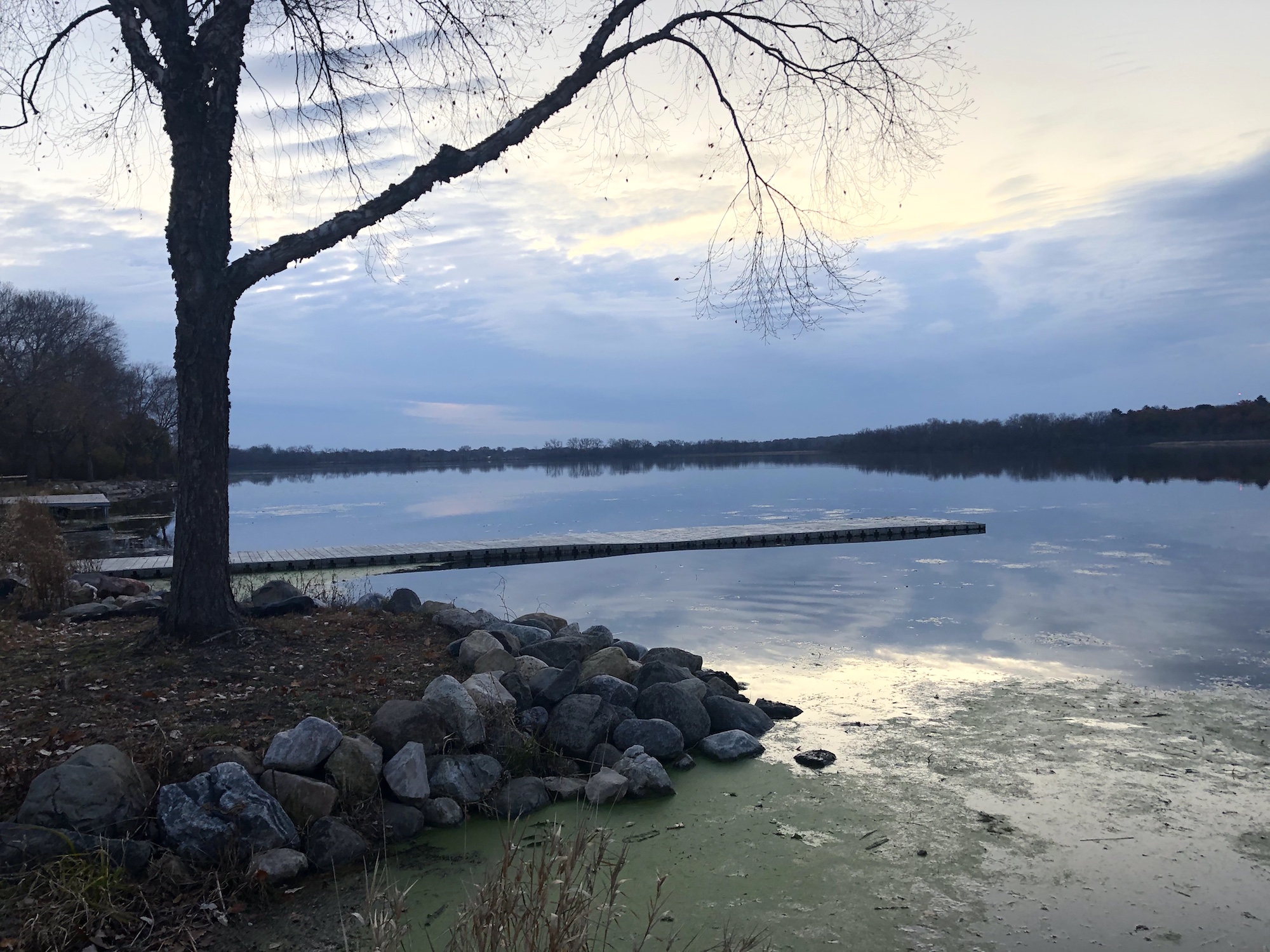 Lake Wingra on November 3, 2019.