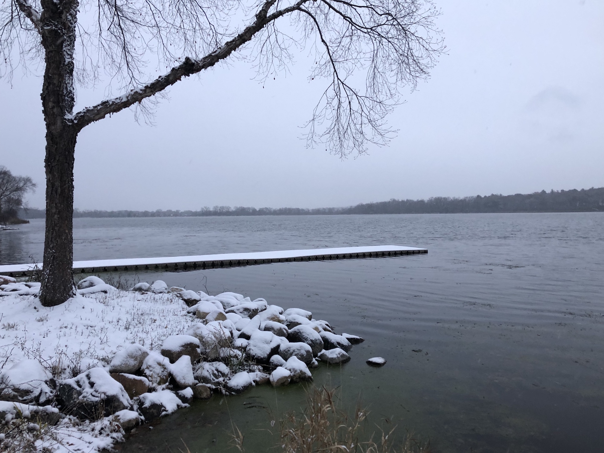 Lake Wingra on November 6, 2019.