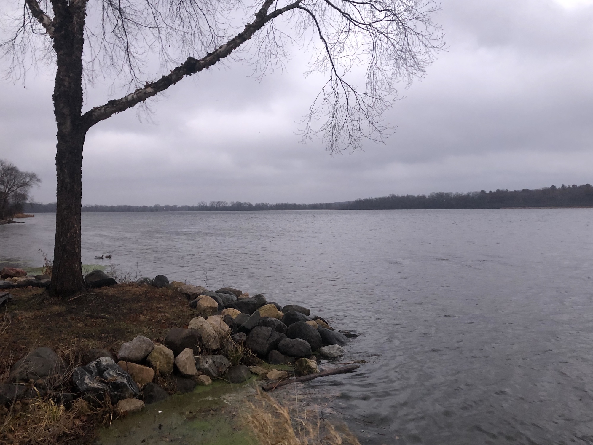 Lake Wingra on November 27, 2019.