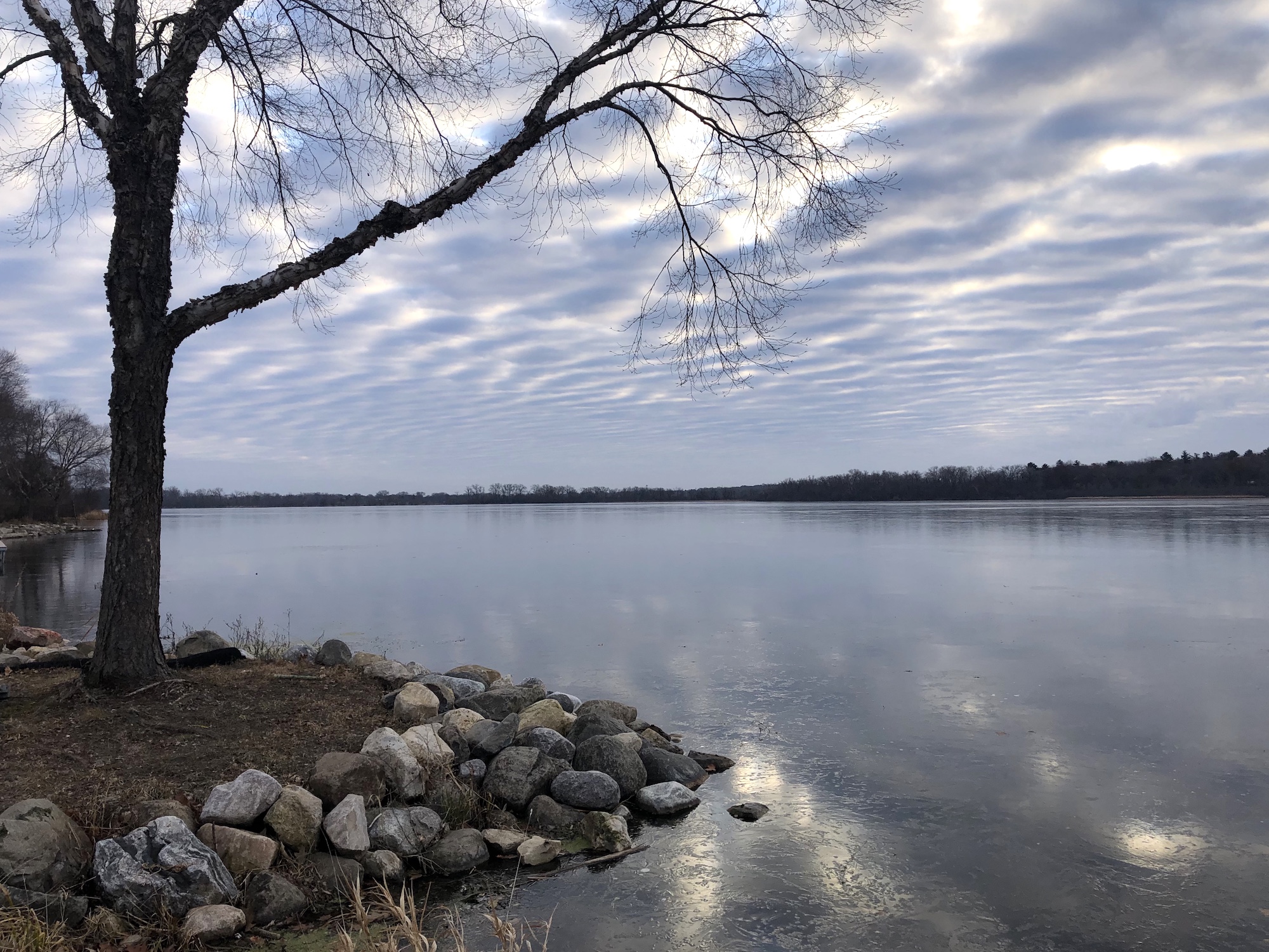 Lake Wingra on December 7, 2019.