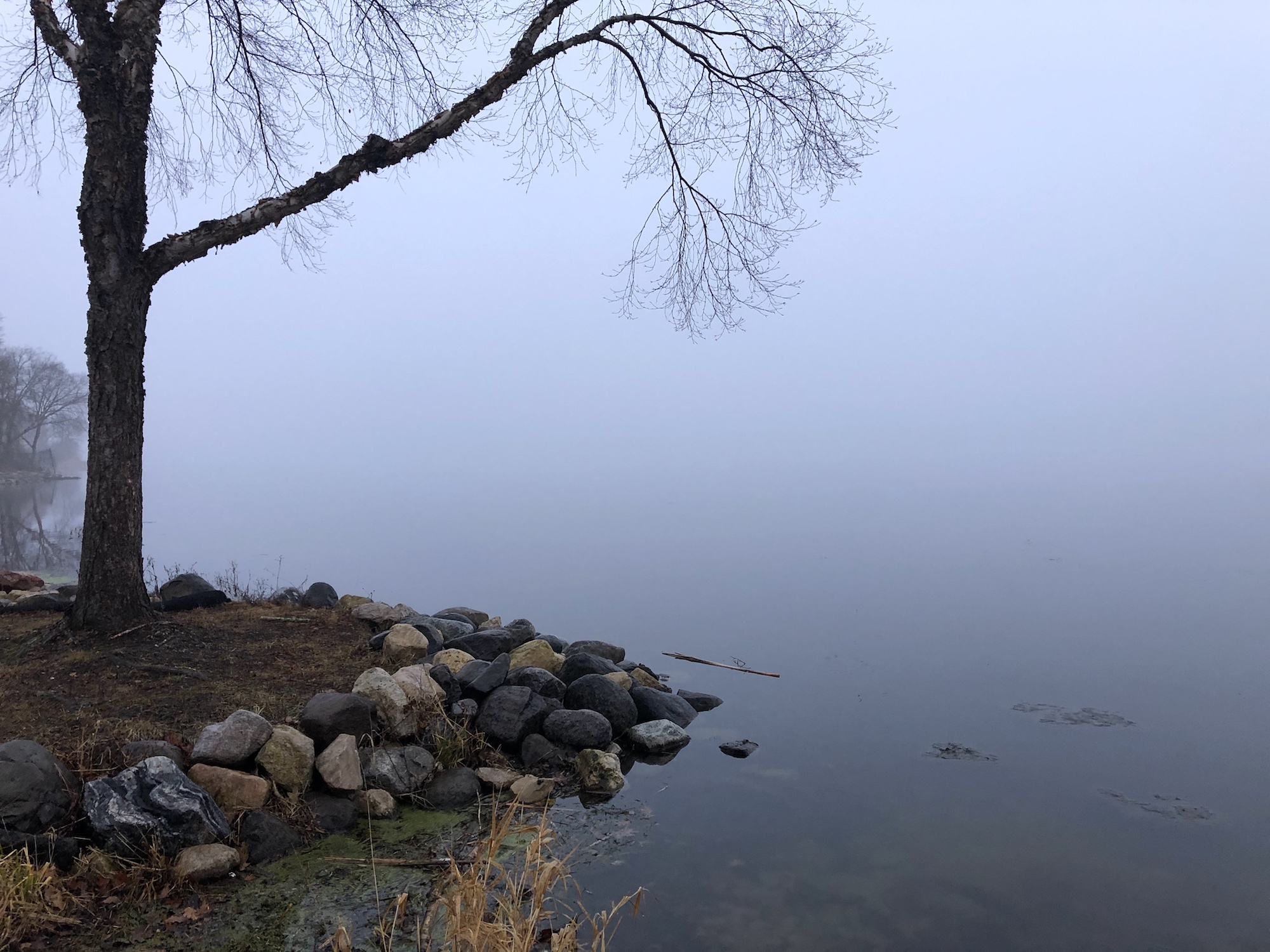 Lake Wingra on December 9, 2019.