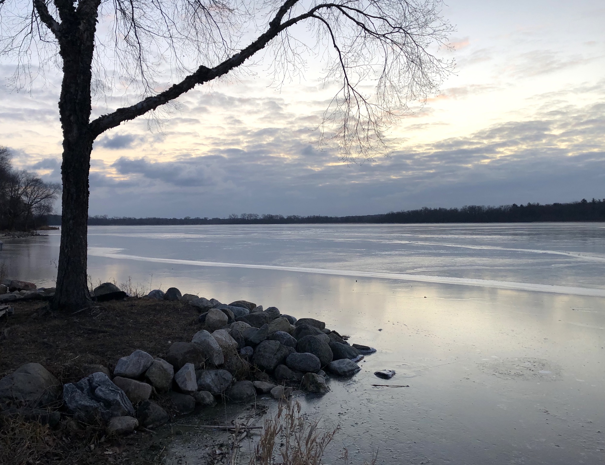 Lake Wingra on December 11, 2019.