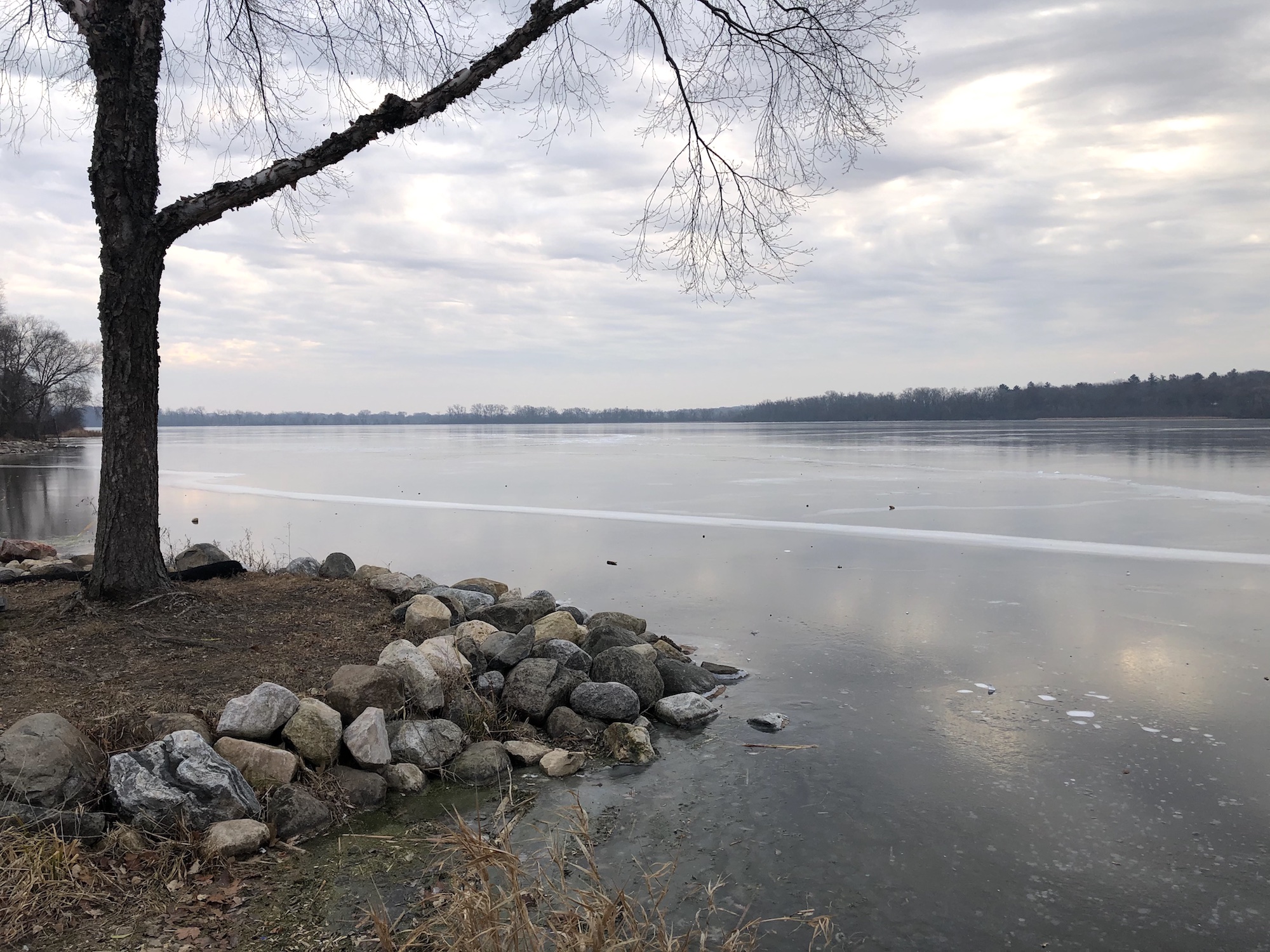 Lake Wingra on December 12, 2019.
