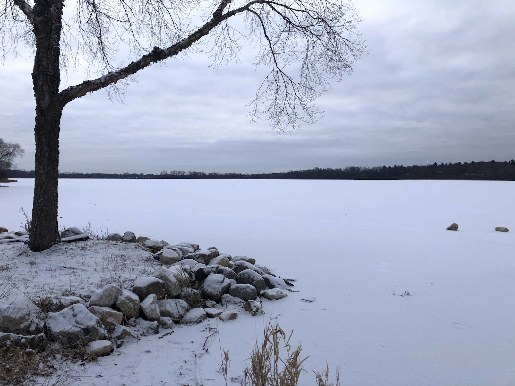 Lake Wingra on December 16, 2019.