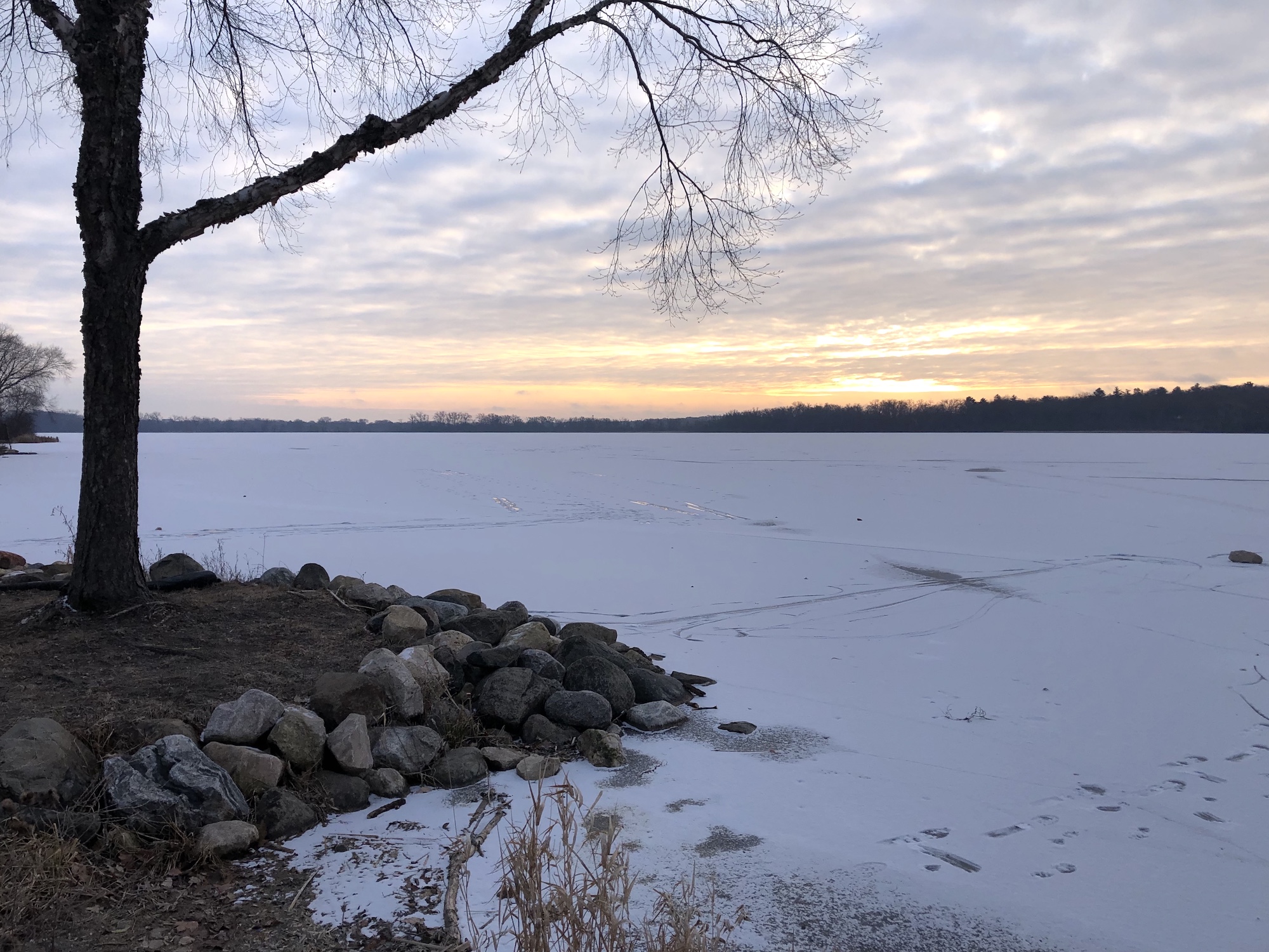 Lake Wingra on December 17, 2019.
