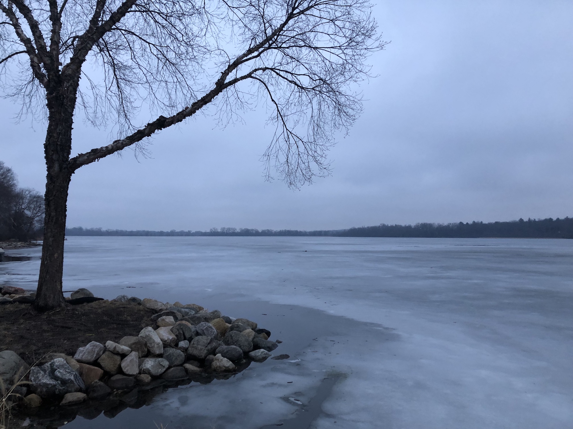 Lake Wingra on January 8, 2019.
