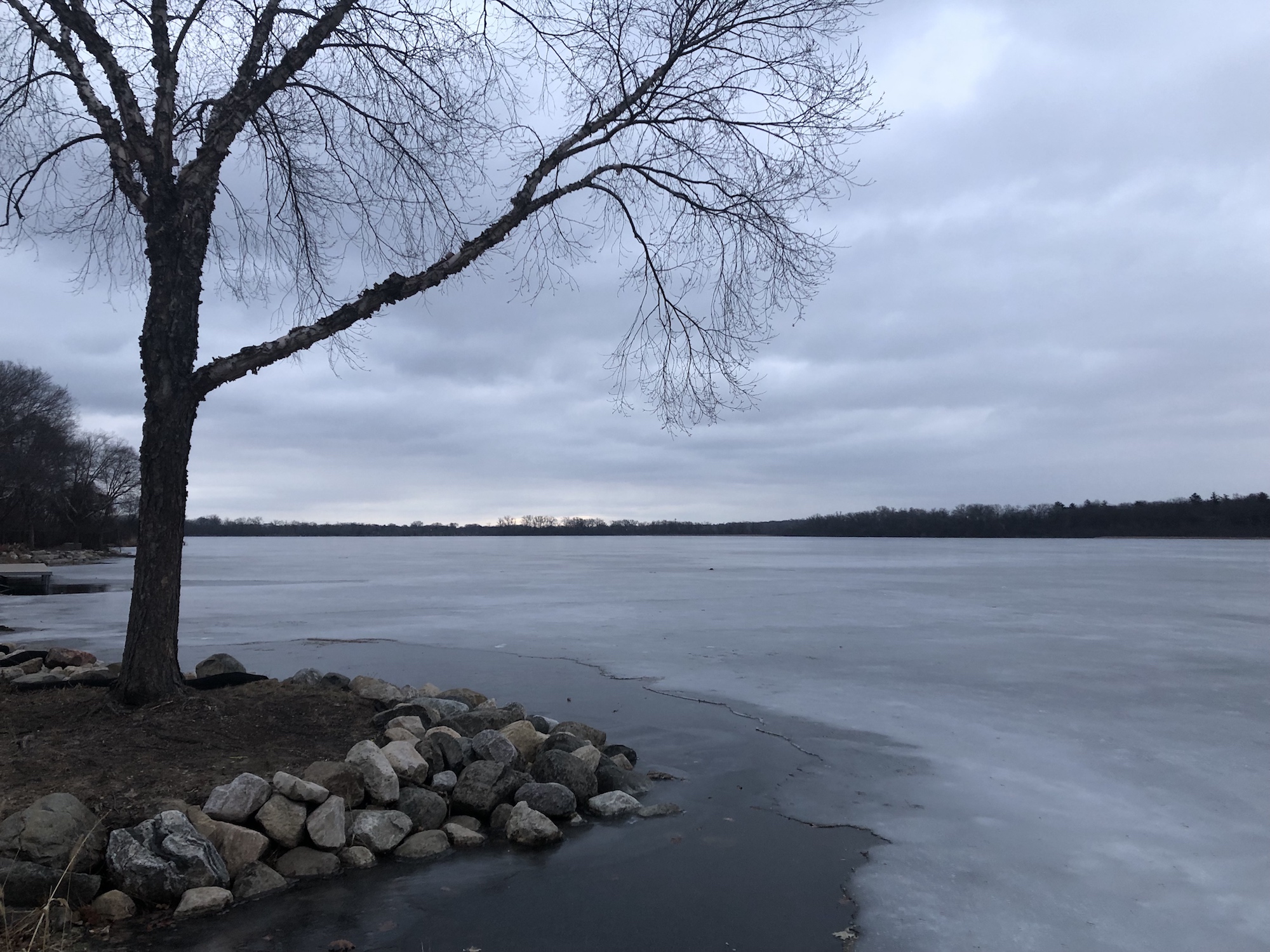 Lake Wingra on January 9, 2019.