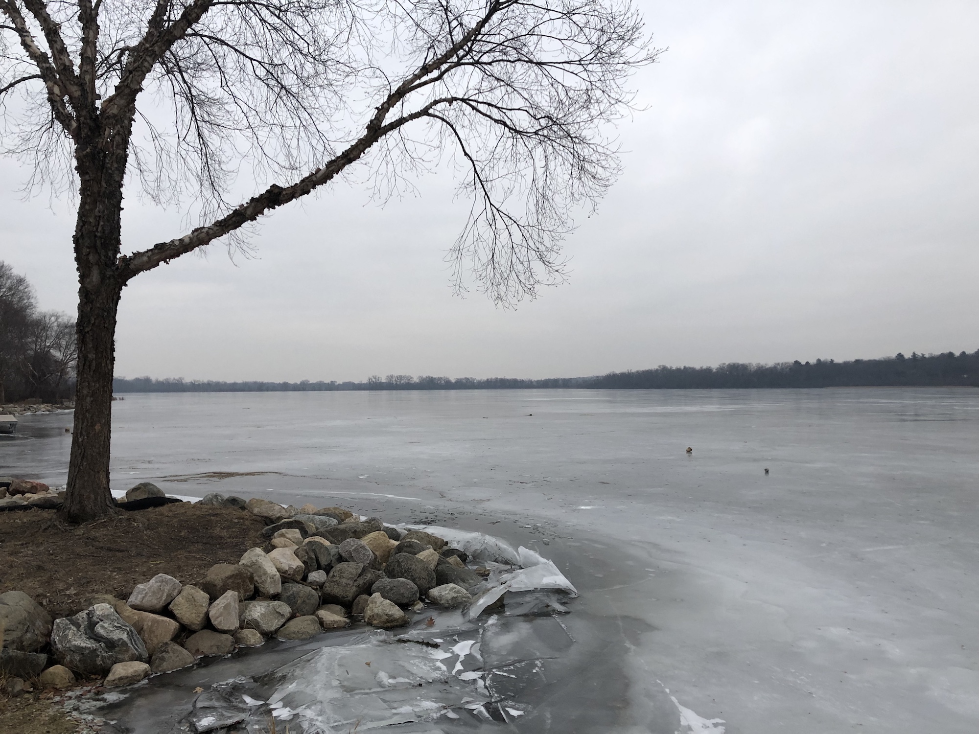 Lake Wingra on January 12, 2019.