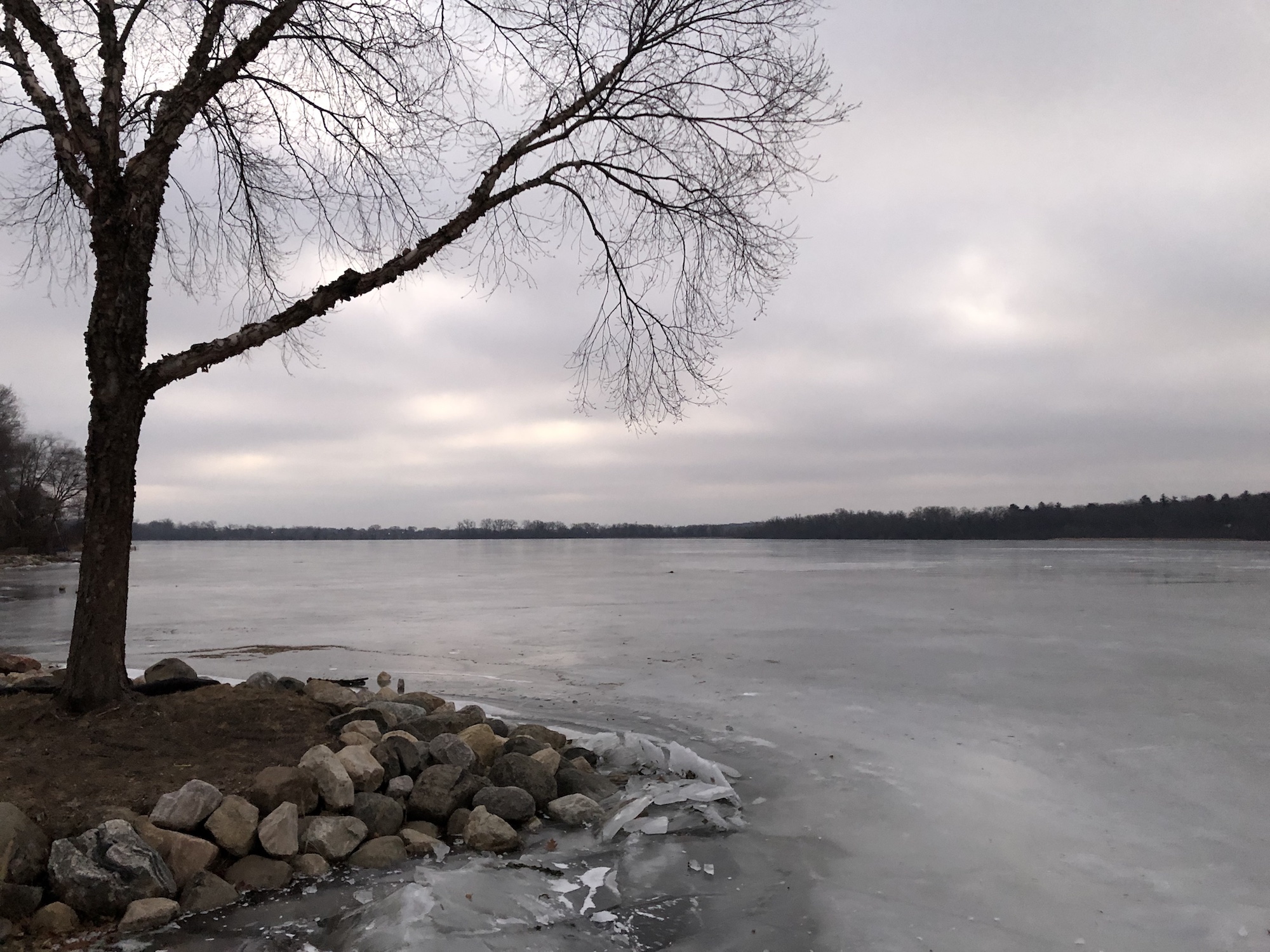Lake Wingra on January 14, 2019.