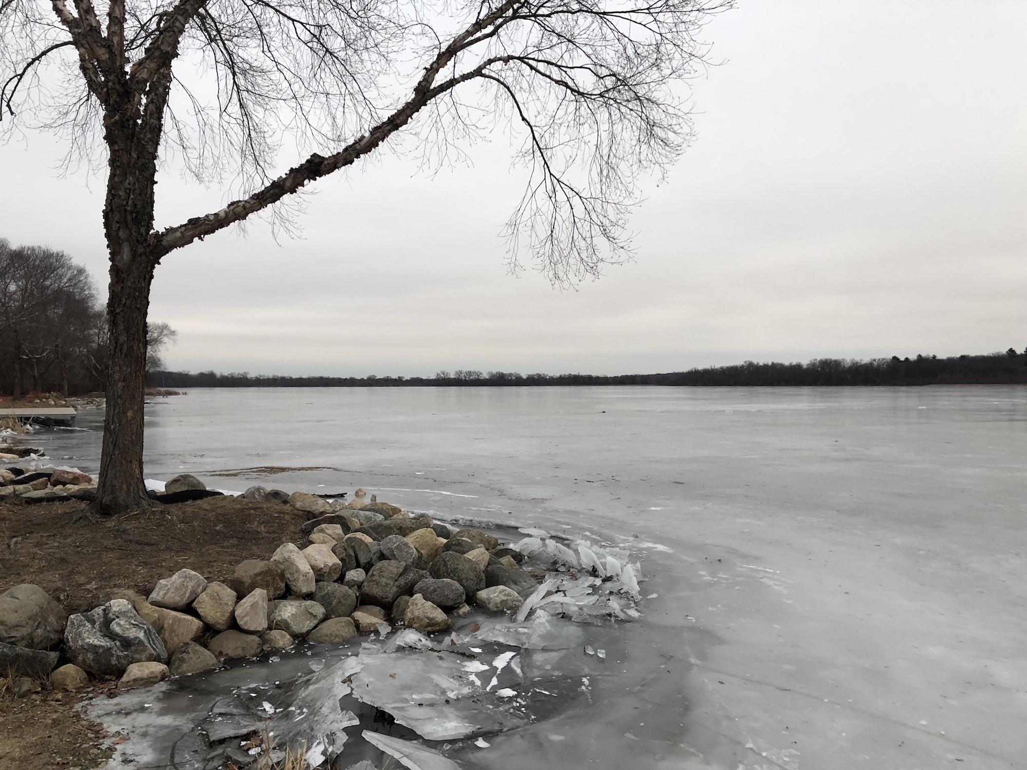 Lake Wingra on January 17, 2019.