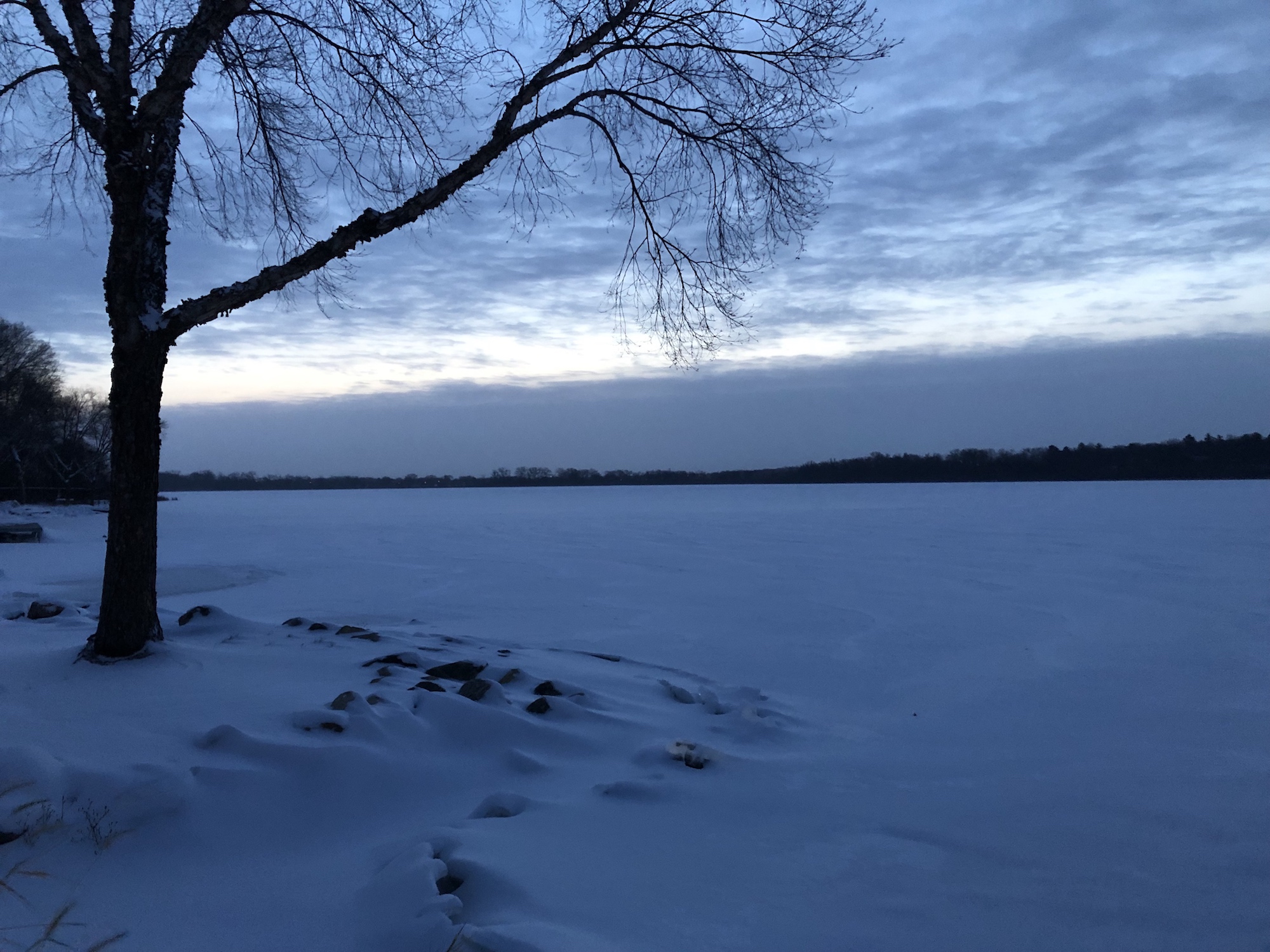 Lake Wingra on January 19, 2019.