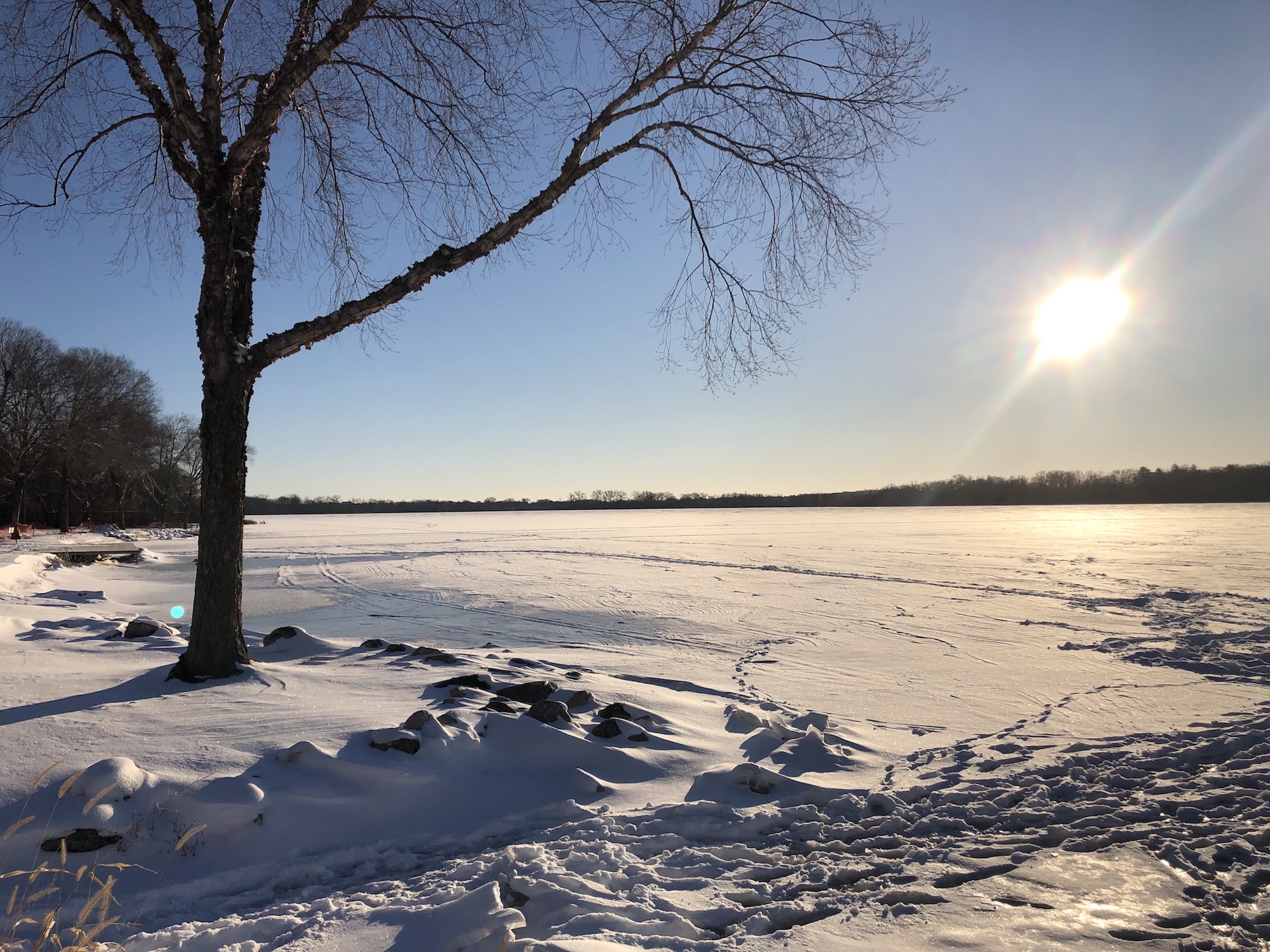 Lake Wingra on January 20, 2019.