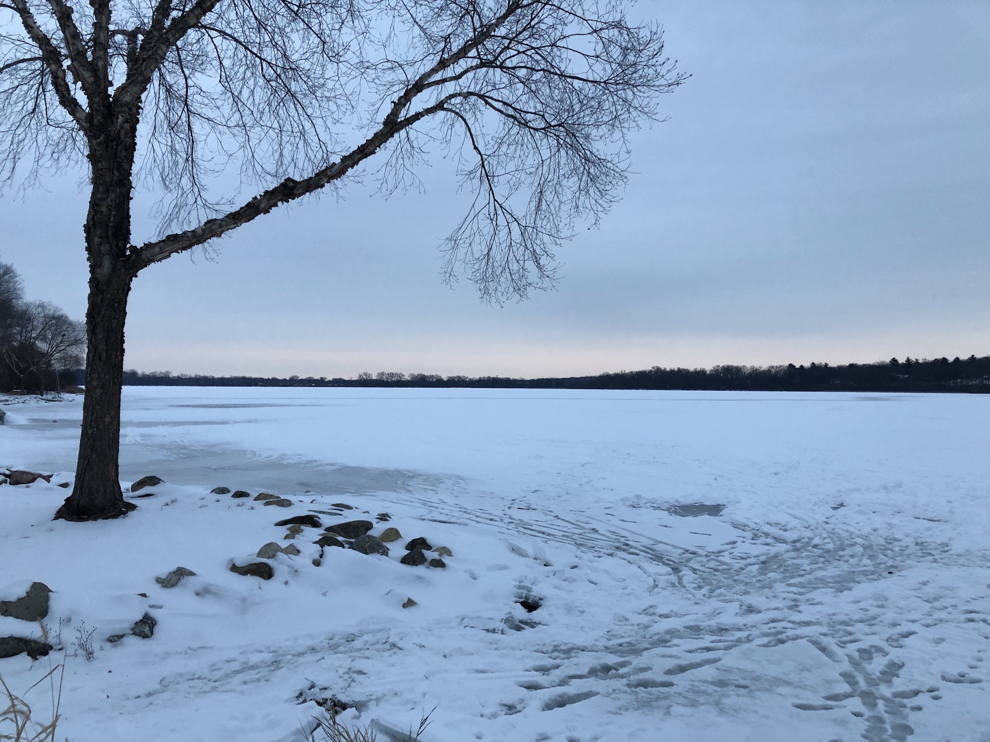 Lake Wingra on January 22, 2019.