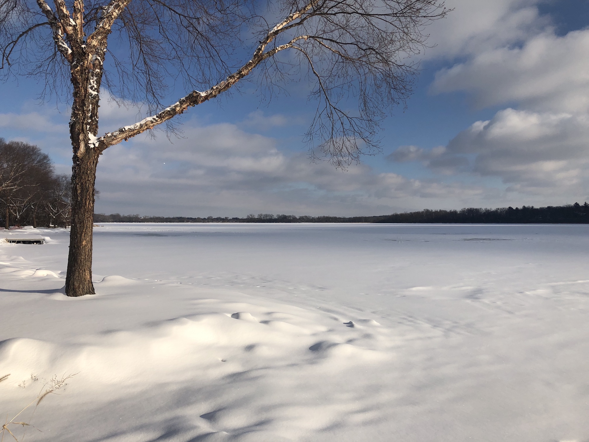 Lake Wingra on January 23, 2019.