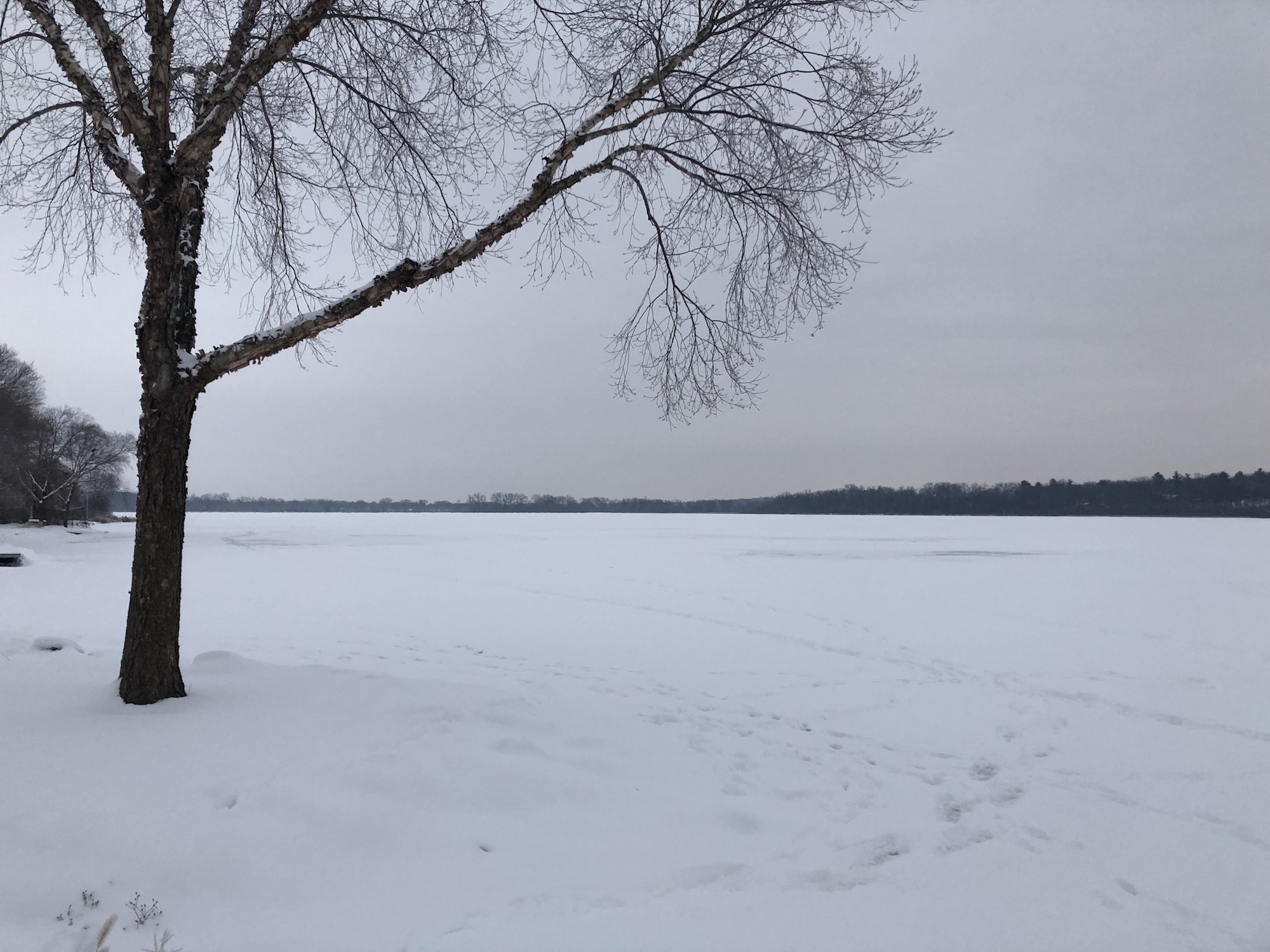 Lake Wingra on January 24, 2019.