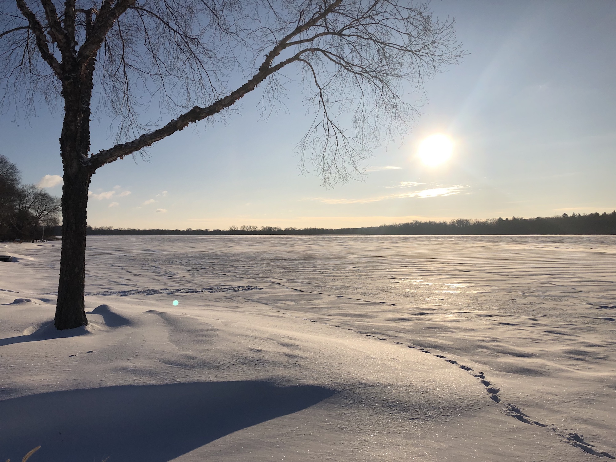Lake Wingra on January 29, 2019.