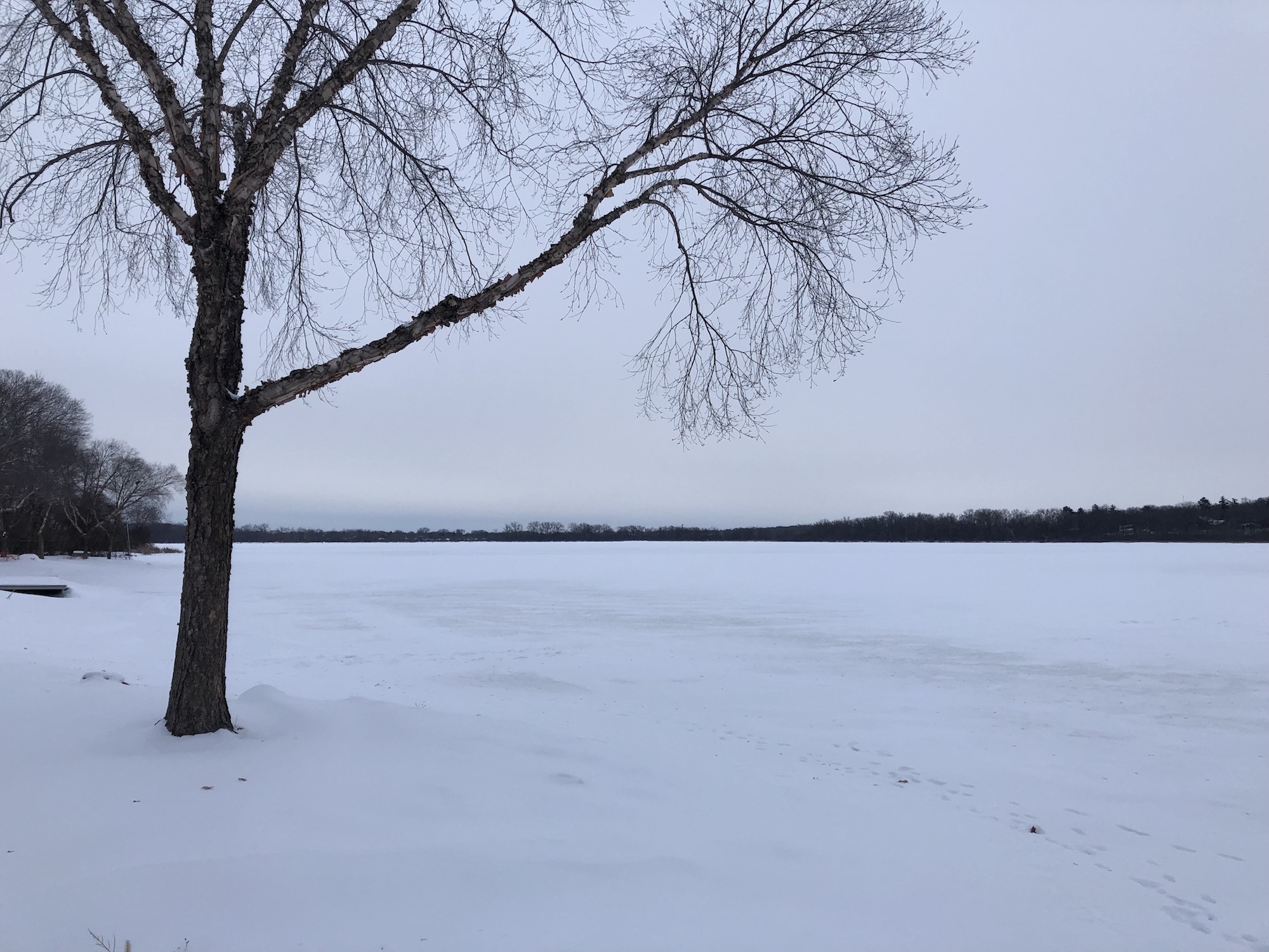 Lake Wingra on January 31, 2019.