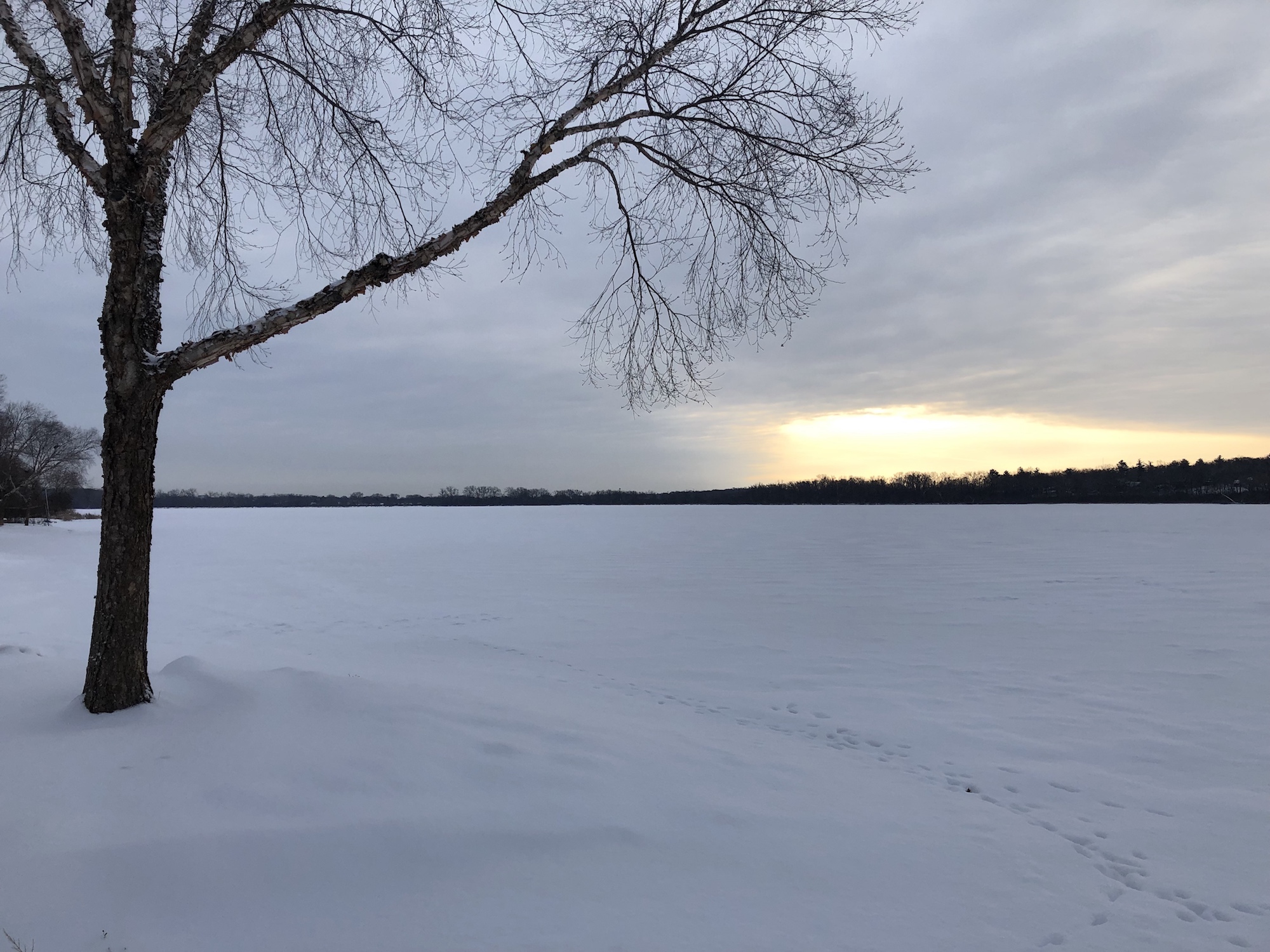 Lake Wingra on February 1, 2019.