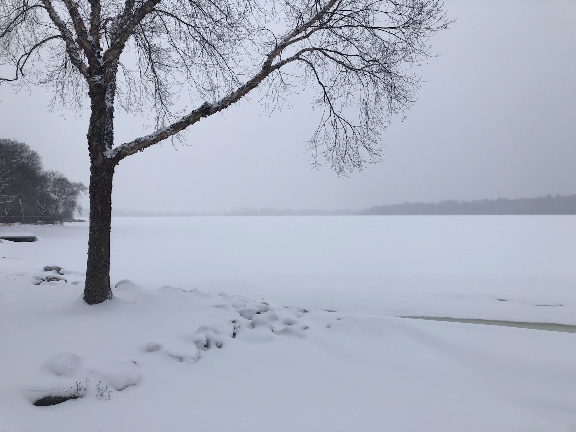 Lake Wingra on February 12, 2019.