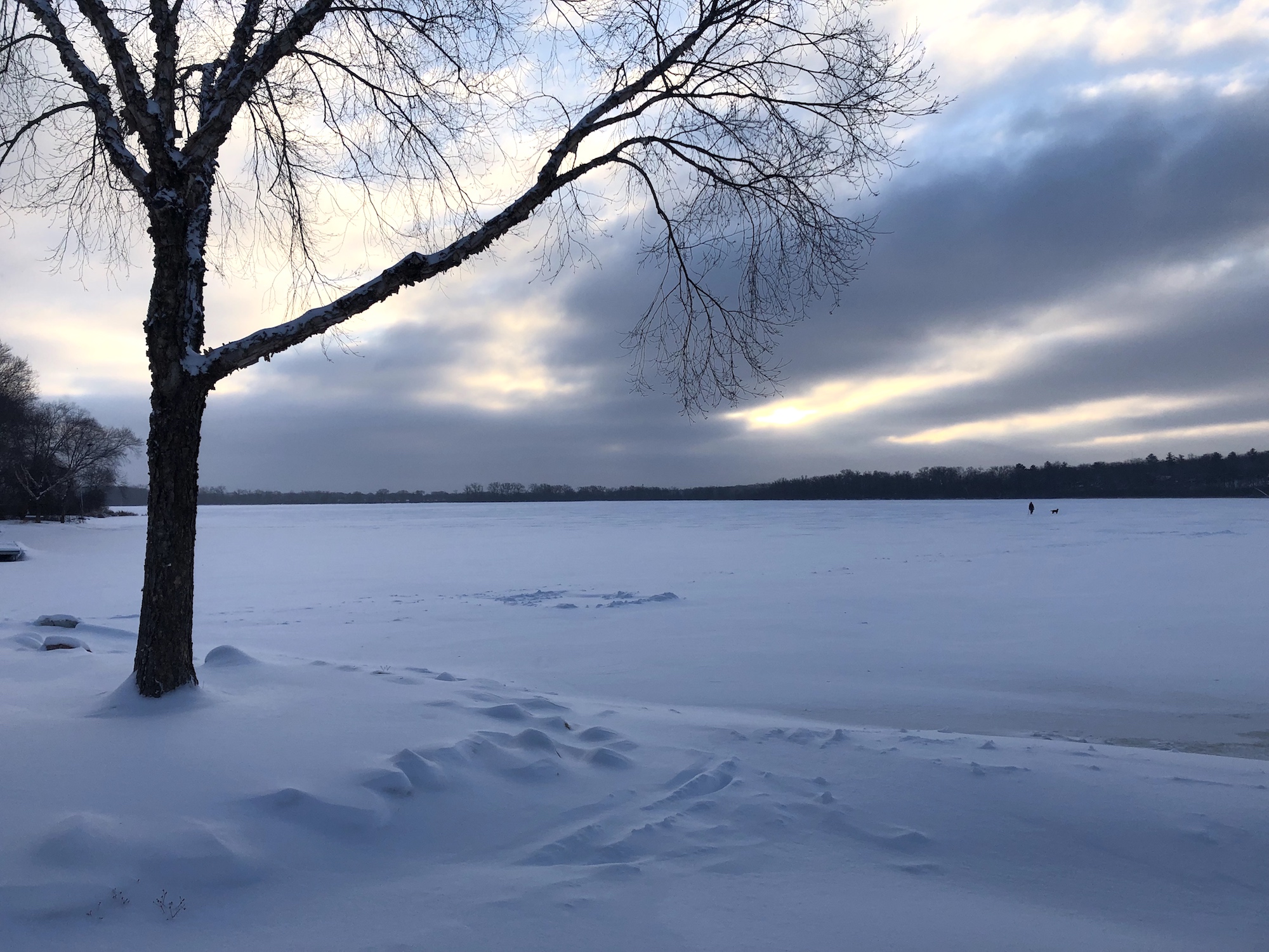 Lake Wingra on February 13, 2019.