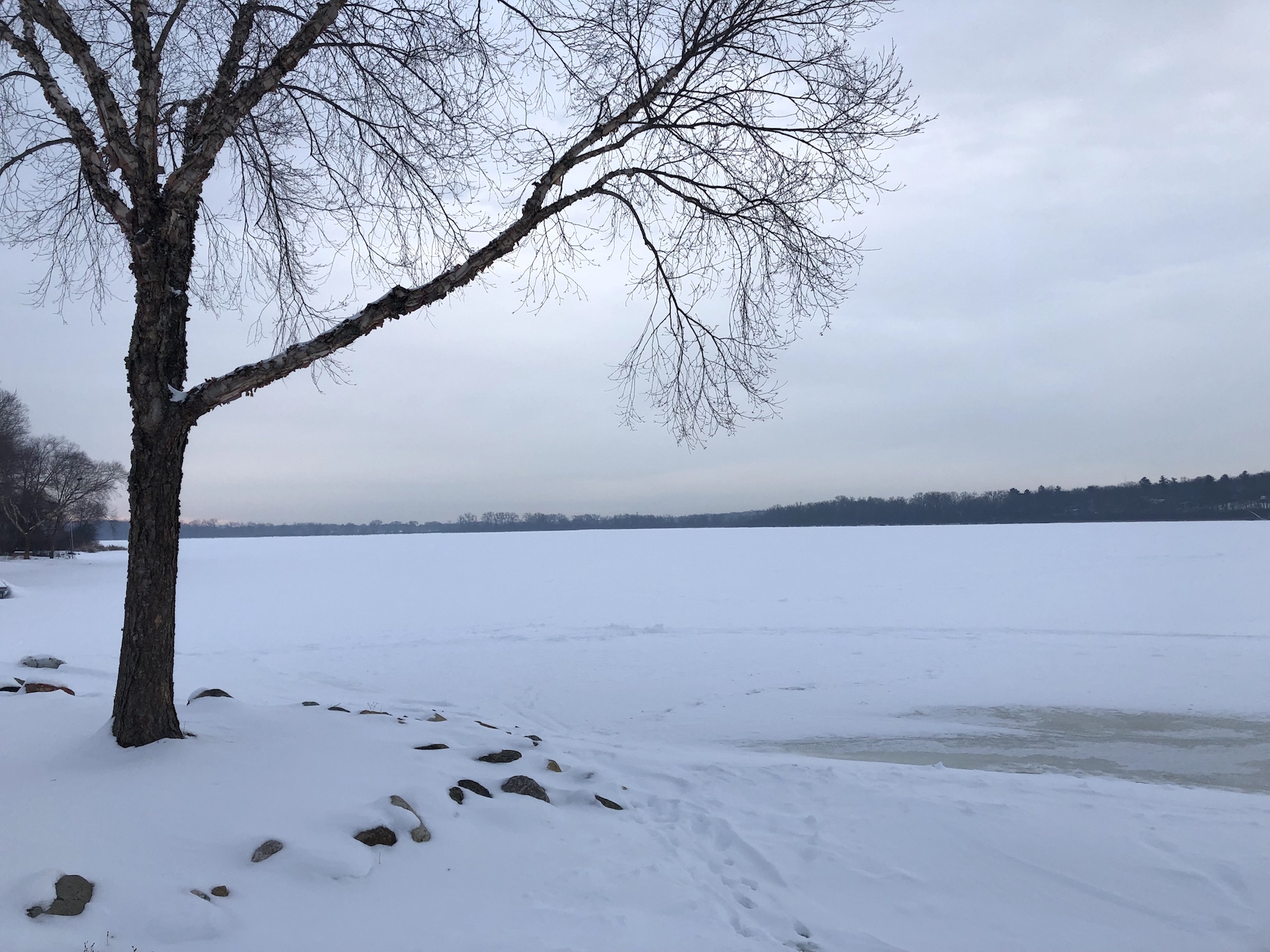 Lake Wingra on February 14, 2019.