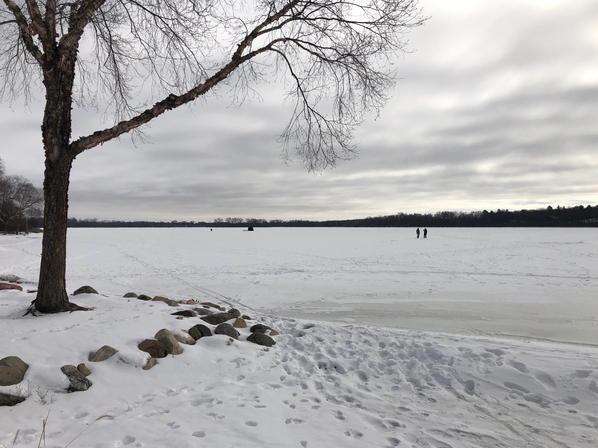 Lake Wingra on February 16, 2019.