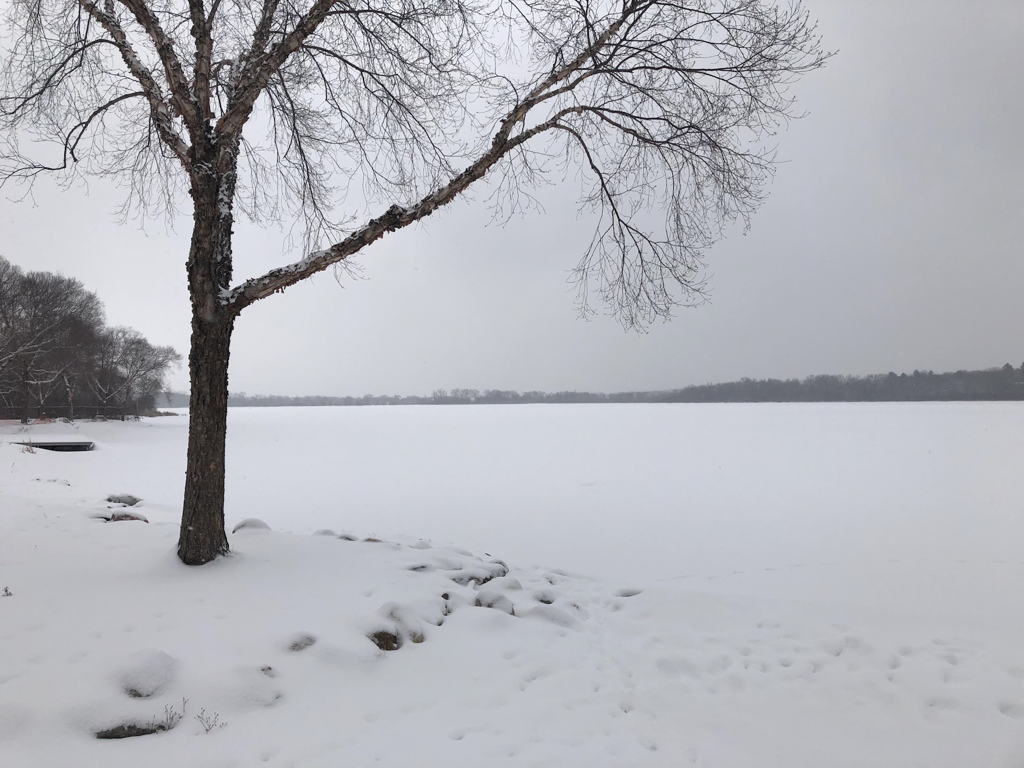 Lake Wingra on February 17, 2019.