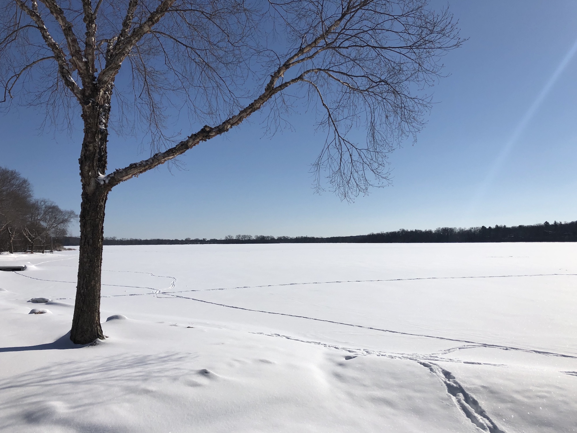 Lake Wingra on February 18, 2019.