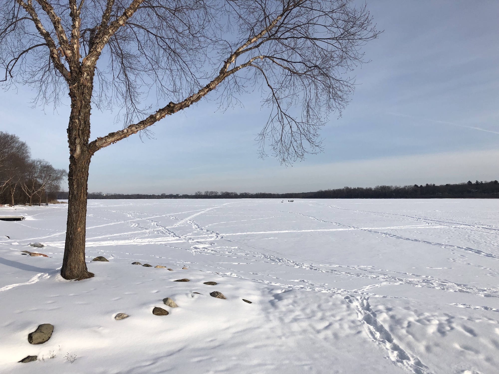 Lake Wingra on February 19, 2019.