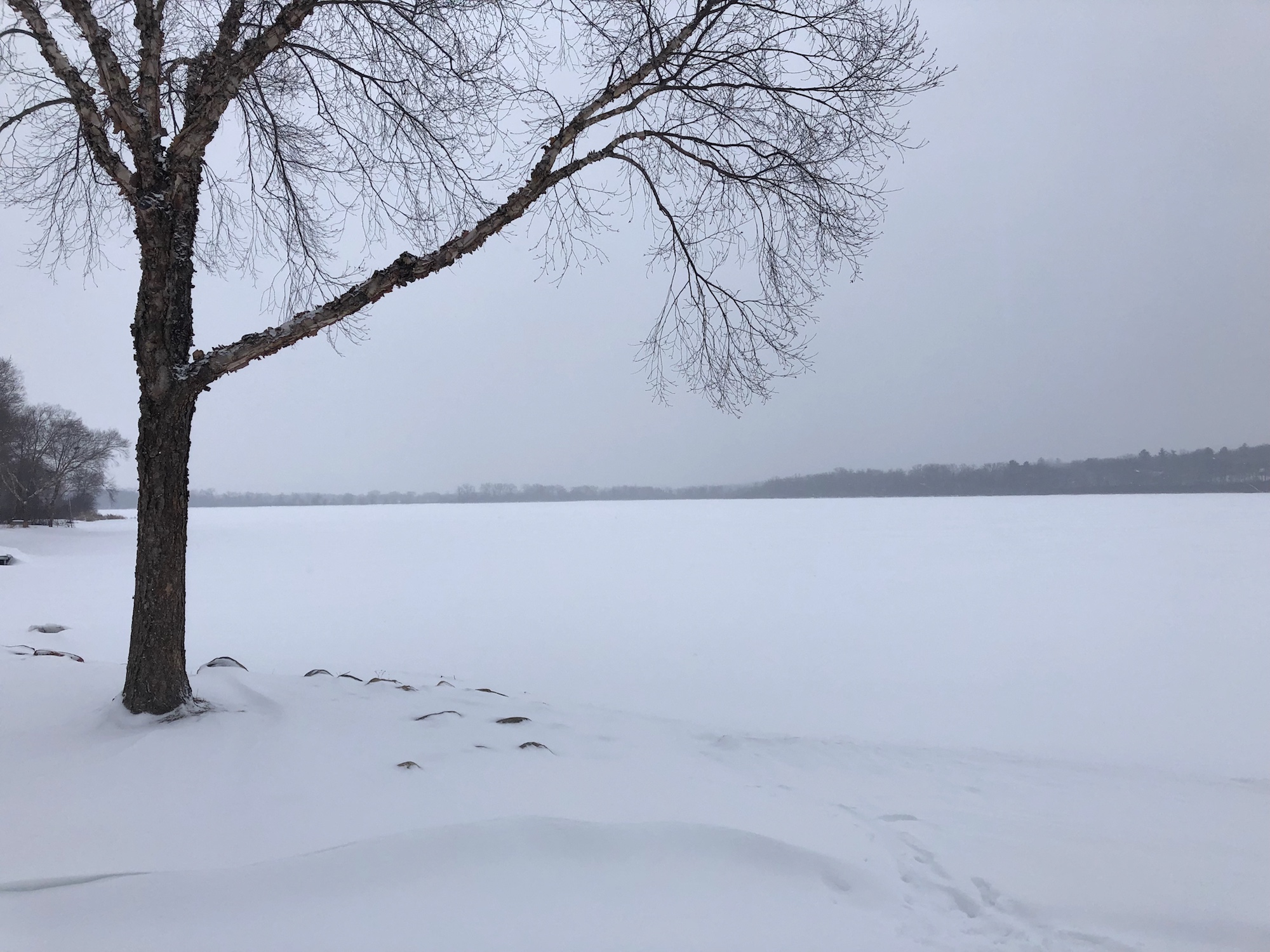 Lake Wingra on February 20, 2019.